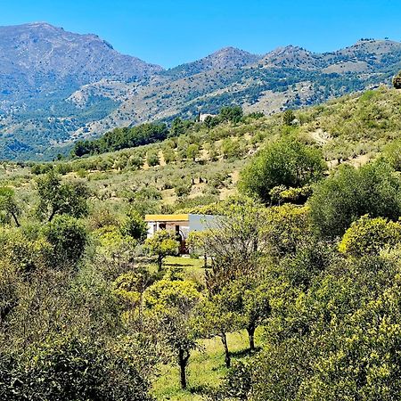 Finca Martina Casarabonela Exterior photo