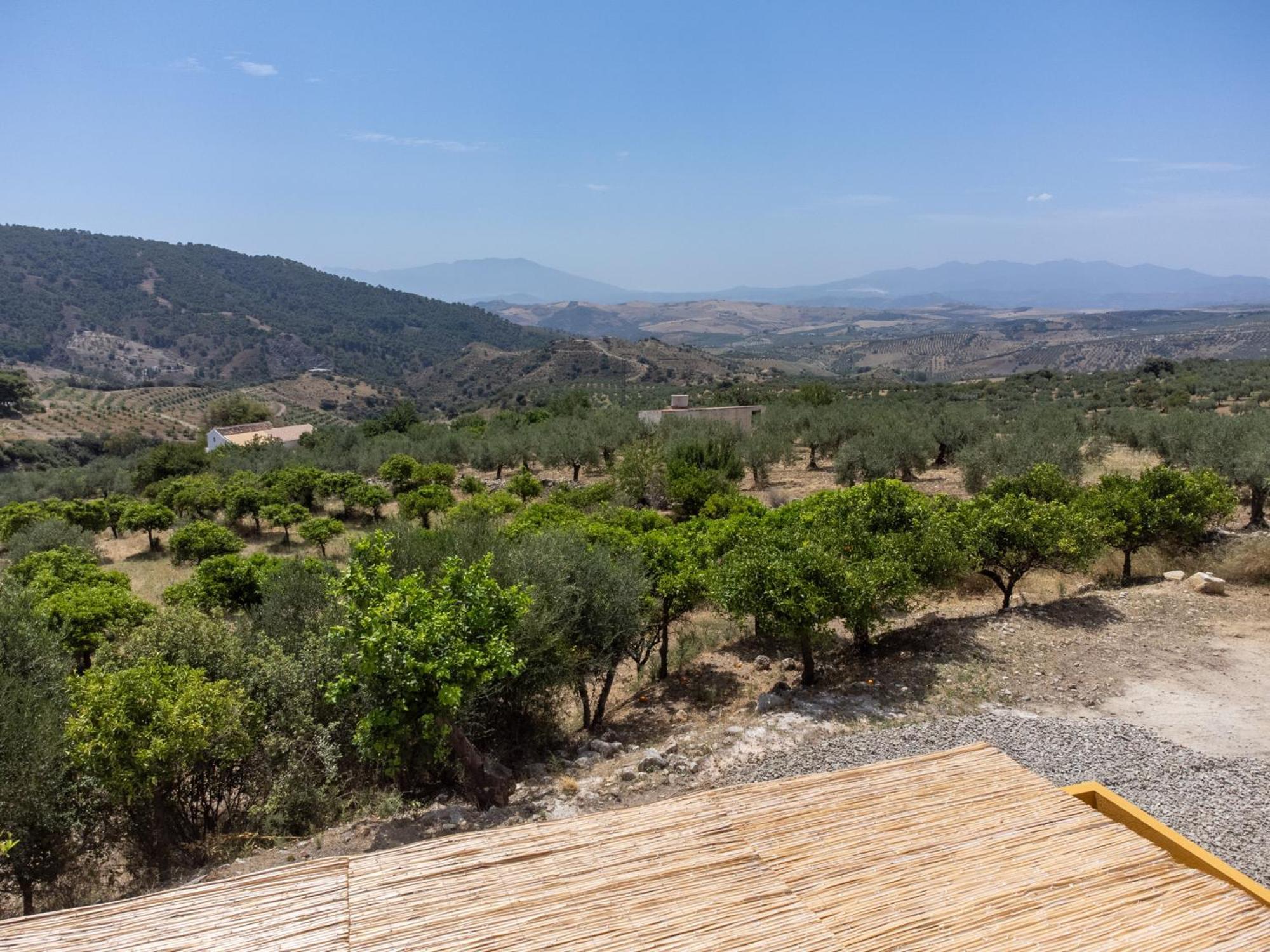 Finca Martina Casarabonela Exterior photo