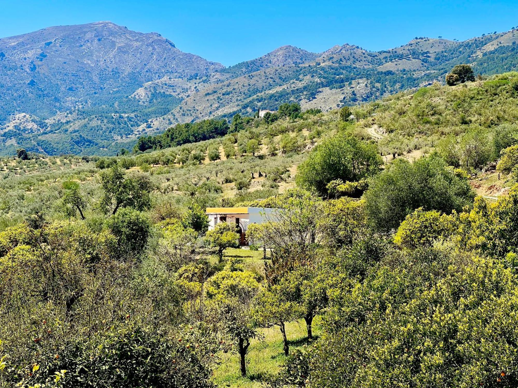 Finca Martina Casarabonela Exterior photo