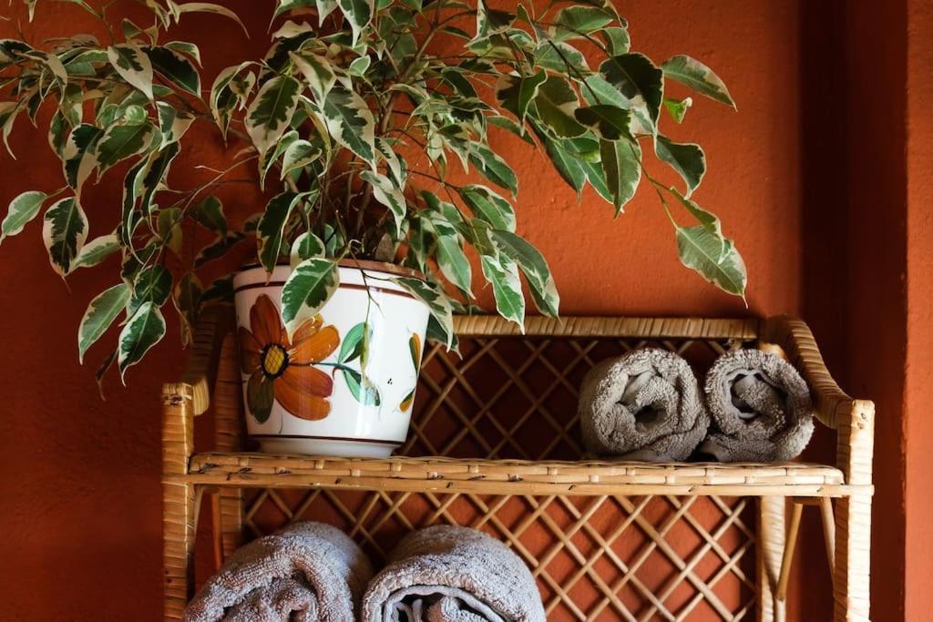 Finca Martina Casarabonela Room photo